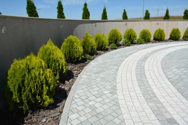 Best Driveway Paving Contractor  in Spearville, KS